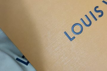 Louis Vuitton M46203 CarryAll PM photo review