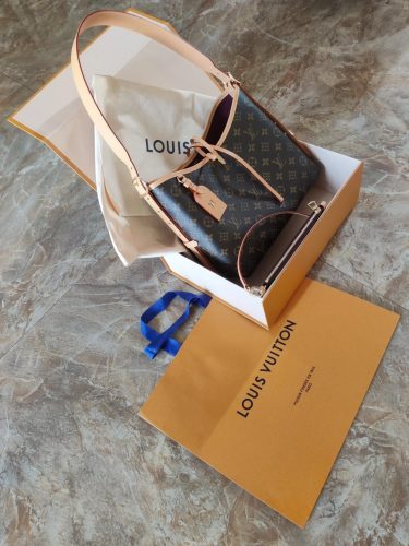 Louis Vuitton M46203 CarryAll PM photo review