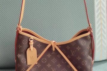 Louis Vuitton M46203 CarryAll PM photo review