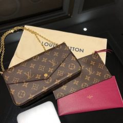 Louis Vuitton M61276 Pochette Felicie photo review