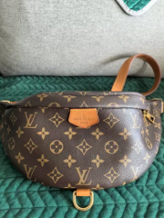 Louis Vuitton Belt Bag Monogram M43644 Bumbag photo review